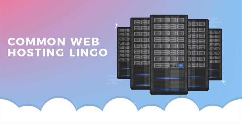 web hosting terms